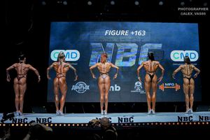 FIGURE +163